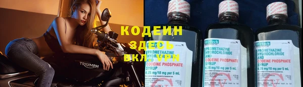 прущий лед Арсеньев