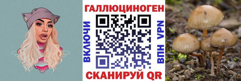 Псилоцибиновые грибы GOLDEN TEACHER  купить   Нарткала 